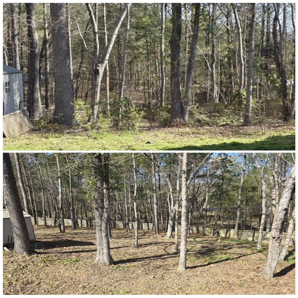 Reliable outdoor landscaping in Columbia, SC by Three Rivers Home and Lawn