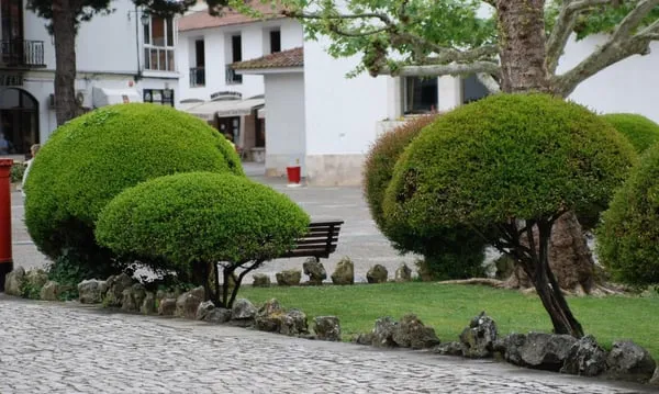 Three Rivers Landscaping