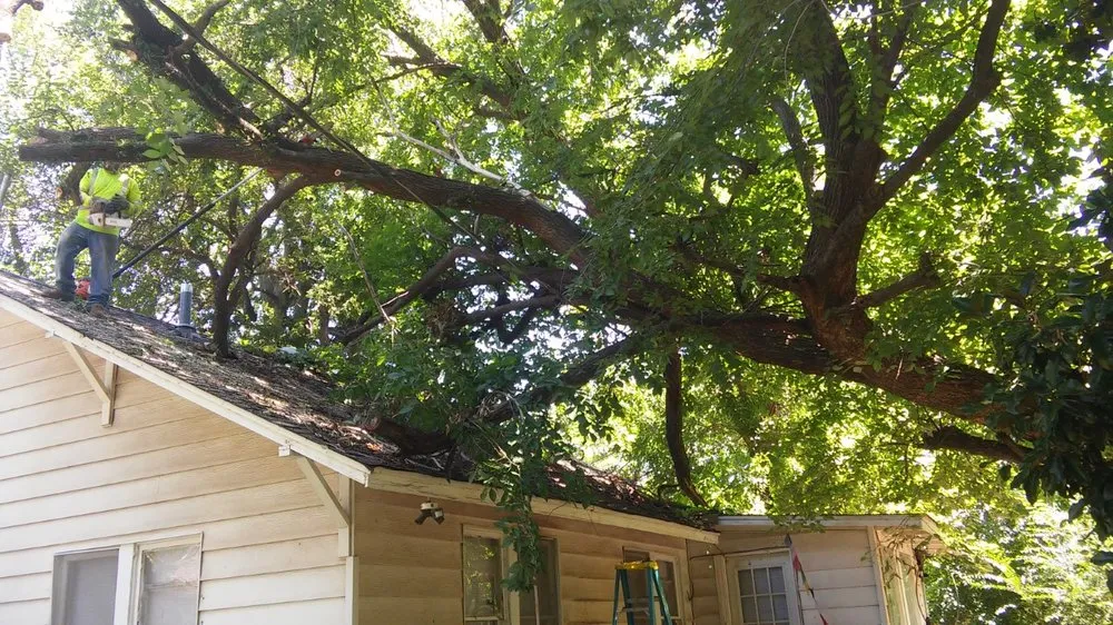 Top-rated residential landscaping for year-round maintenance across Norman, OK - Three Seasons Lawn & Landscape