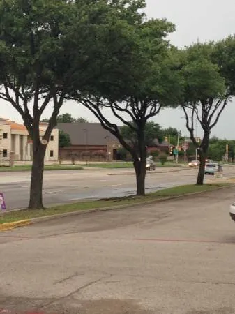 Top-rated lawn care service in Norman, OK by Three Seasons Lawn & Landscape