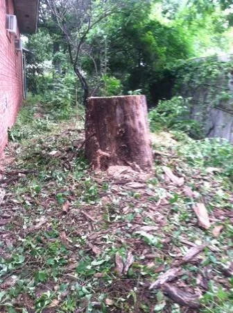 Professional landscaping services experts serving Norman, OK - Three Seasons Lawn & Landscape