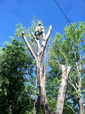 Local landscape design with custom design across Norman, OK - Three Seasons Lawn & Landscape