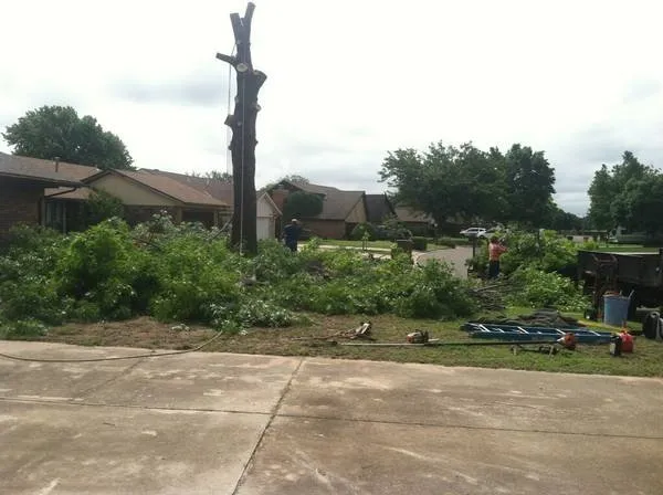 Reliable residential landscaping in Norman, OK by Three Seasons Lawn & Landscape