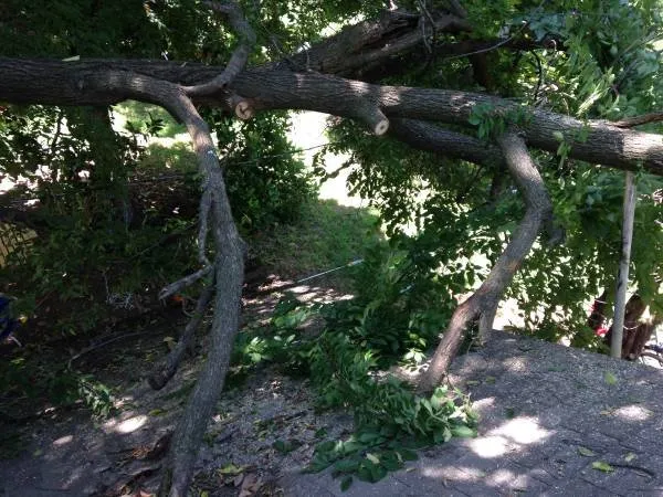 Trusted landscape design experts serving Norman, OK - Three Seasons Lawn & Landscape