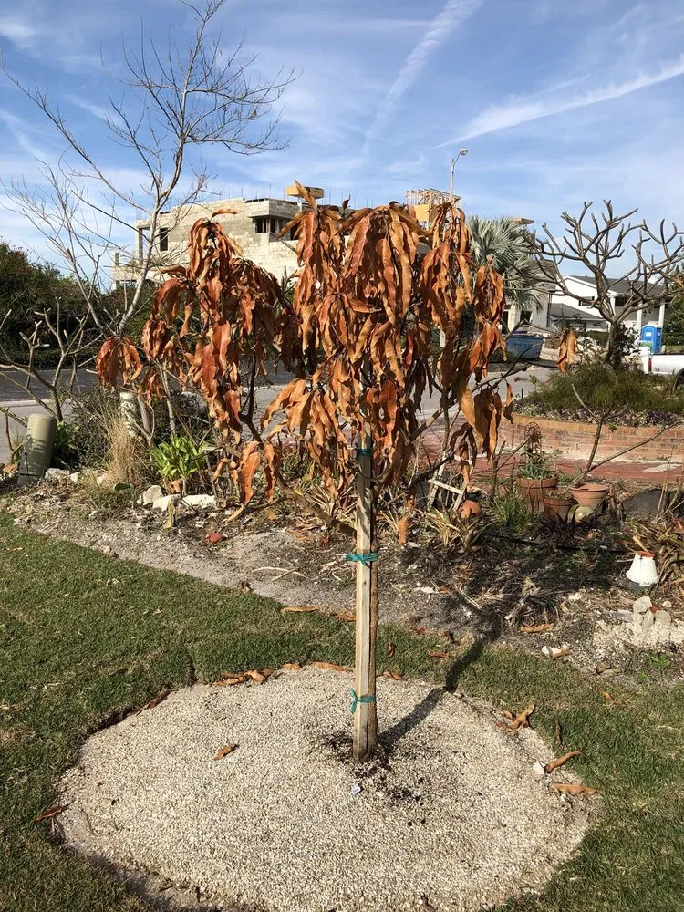 Trusted landscape design experts serving Palmetto, FL - Three Seasons Outdoor Living & Landscapes