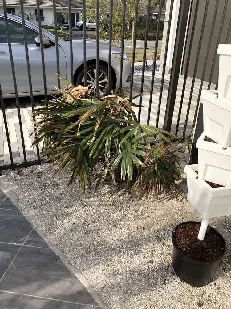 Local lawn care service for residential properties in Palmetto, FL by Three Seasons Outdoor Living & Landscapes