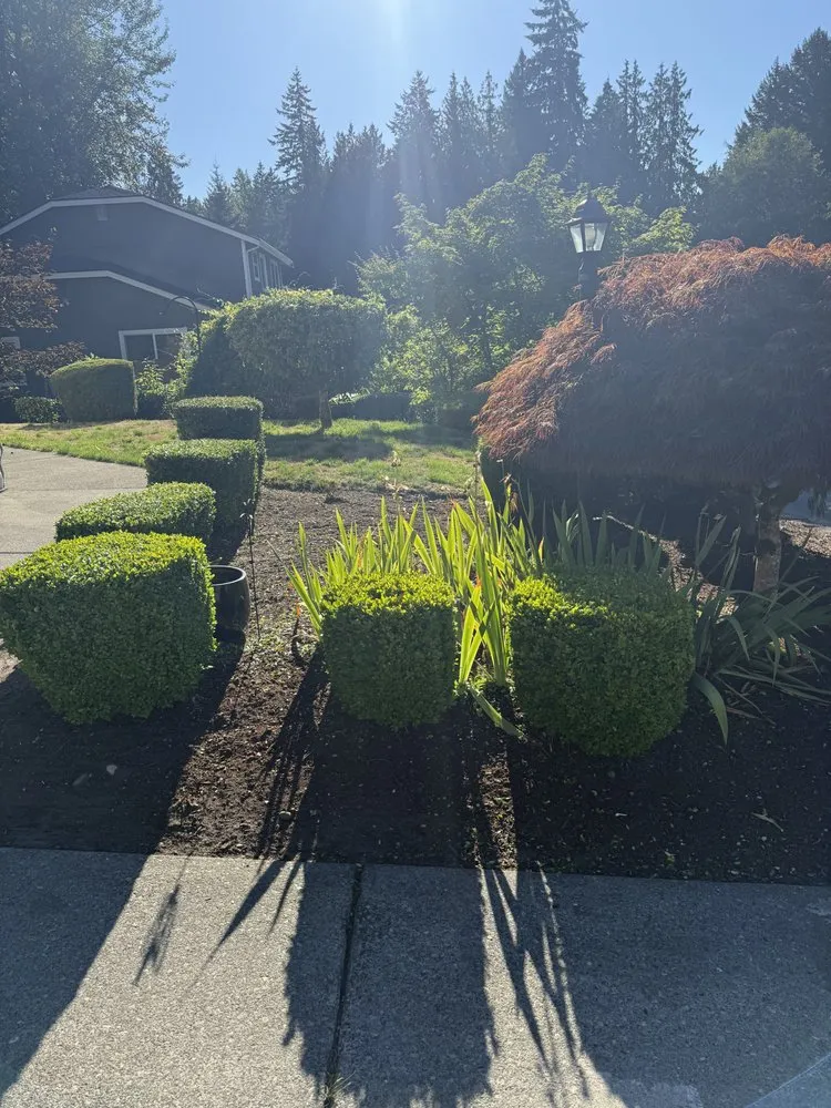 Professional yard maintenance in Tacoma, WA by Three Seasons