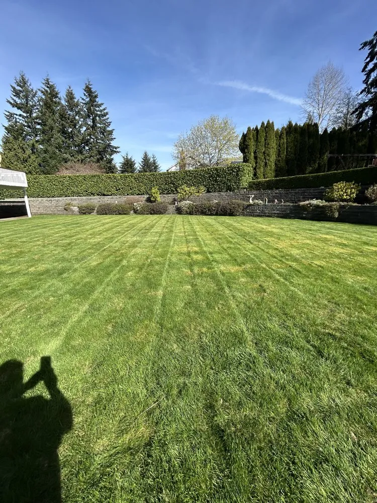 Local yard cleanup service for year-round maintenance in Tacoma, WA by Three Seasons