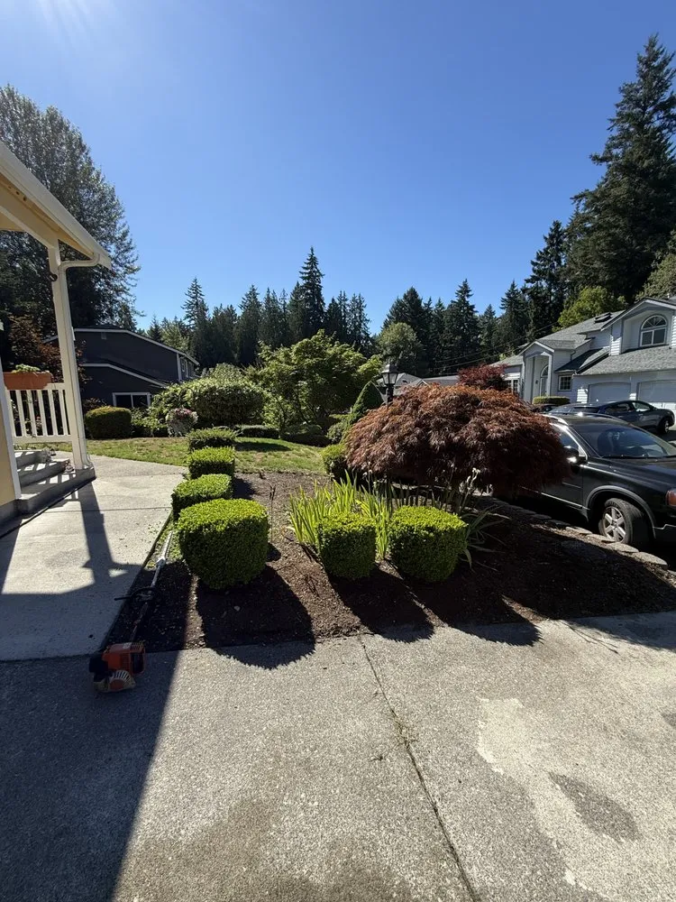 Top-rated residential landscaping experts serving Tacoma, WA - Three Seasons