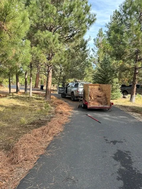 Reliable yard cleanup service experts serving Bend, OR - Three Sisters Hauling and Junk Removal