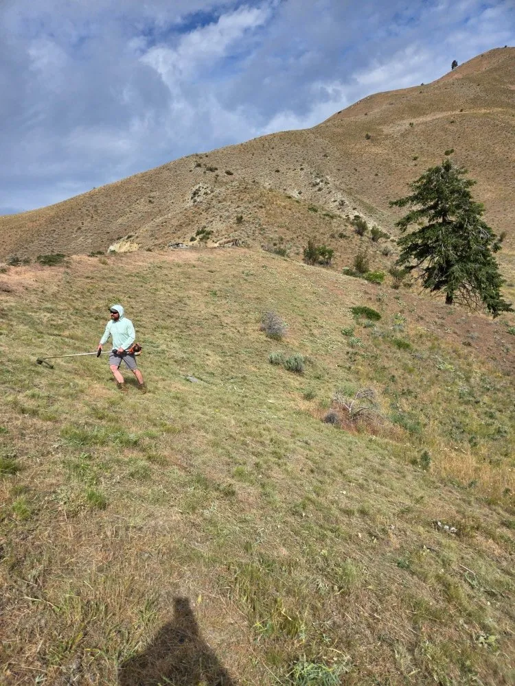 Expert landscaping services with custom design across Cashmere, WA - Three Sons Lawn Care