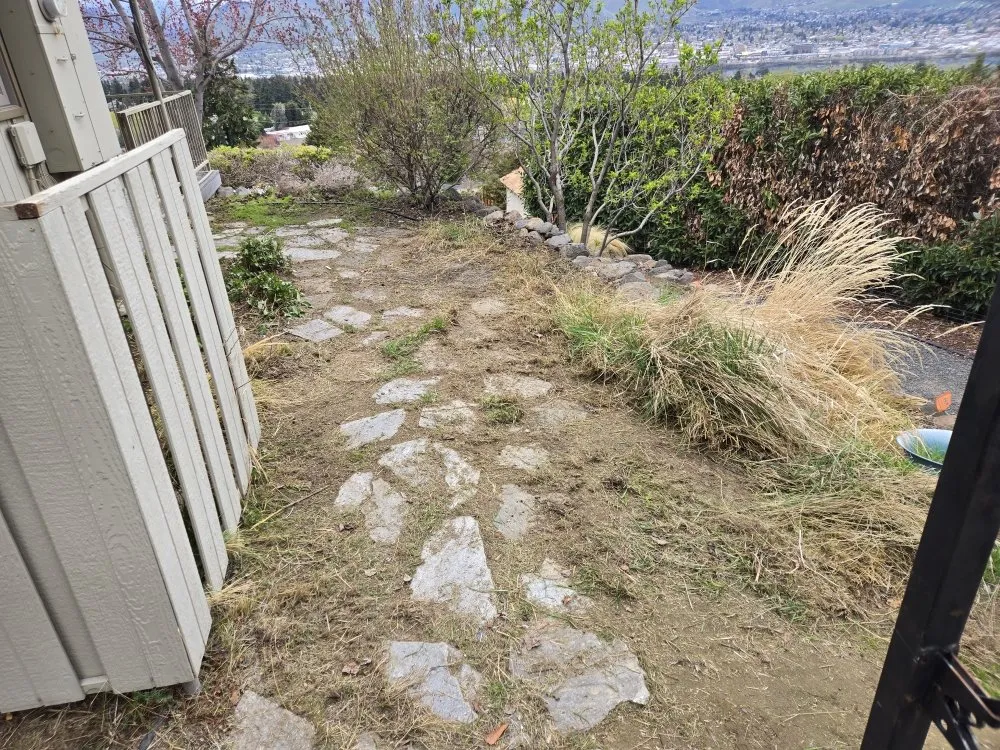 Local yard cleanup service experts serving Cashmere, WA - Three Sons Lawn Care