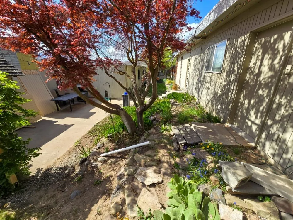 Reliable yard cleanup service experts serving Cashmere, WA - Three Sons Lawn Care