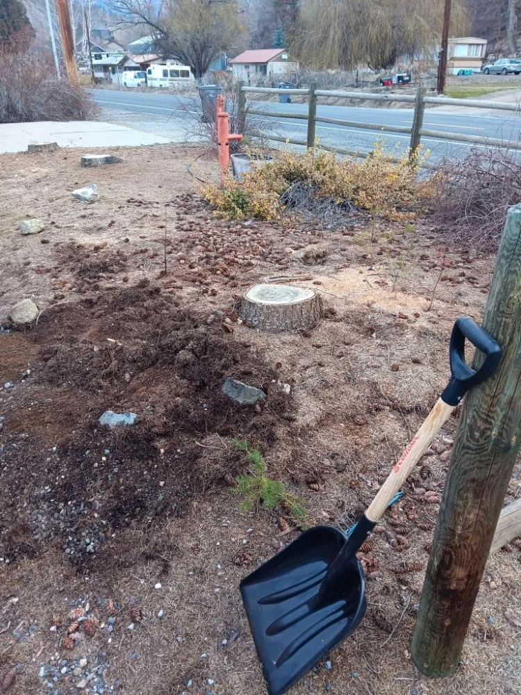 Affordable residential landscaping in Cashmere, WA - Three Sons Lawn Care