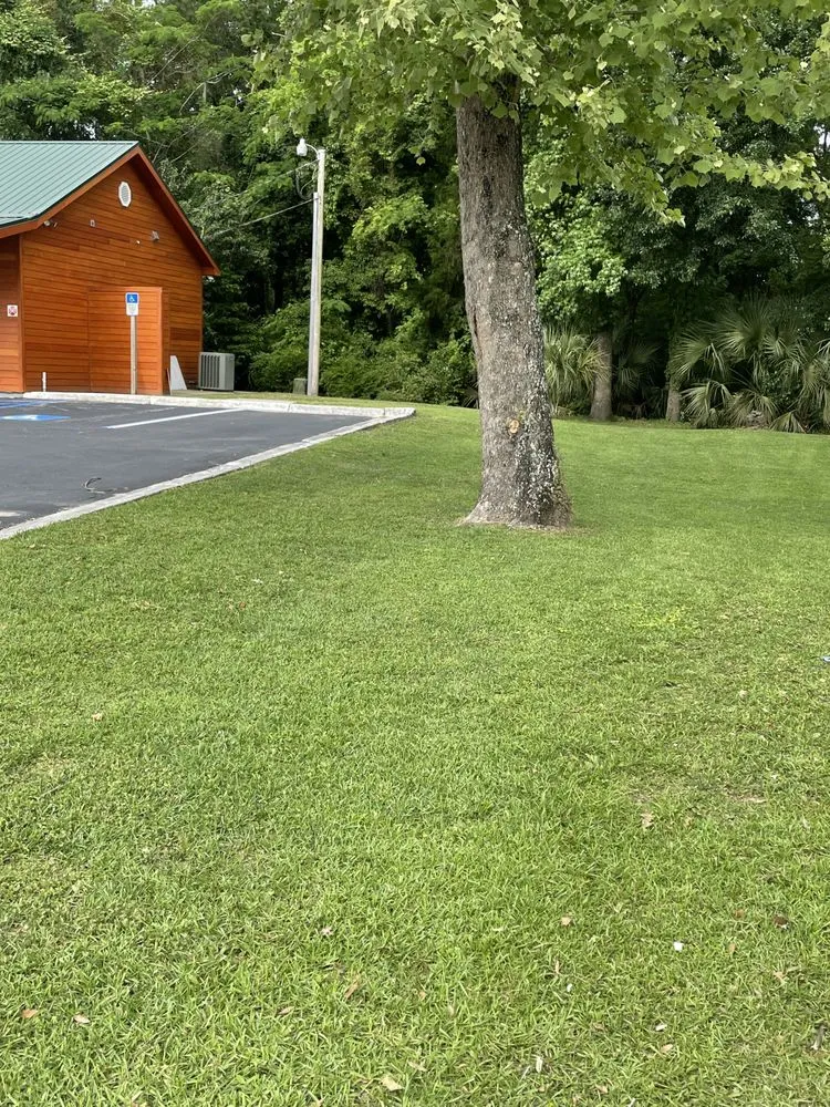 Local lawn care service in Tallahassee, FL by Three Sons Lawncare