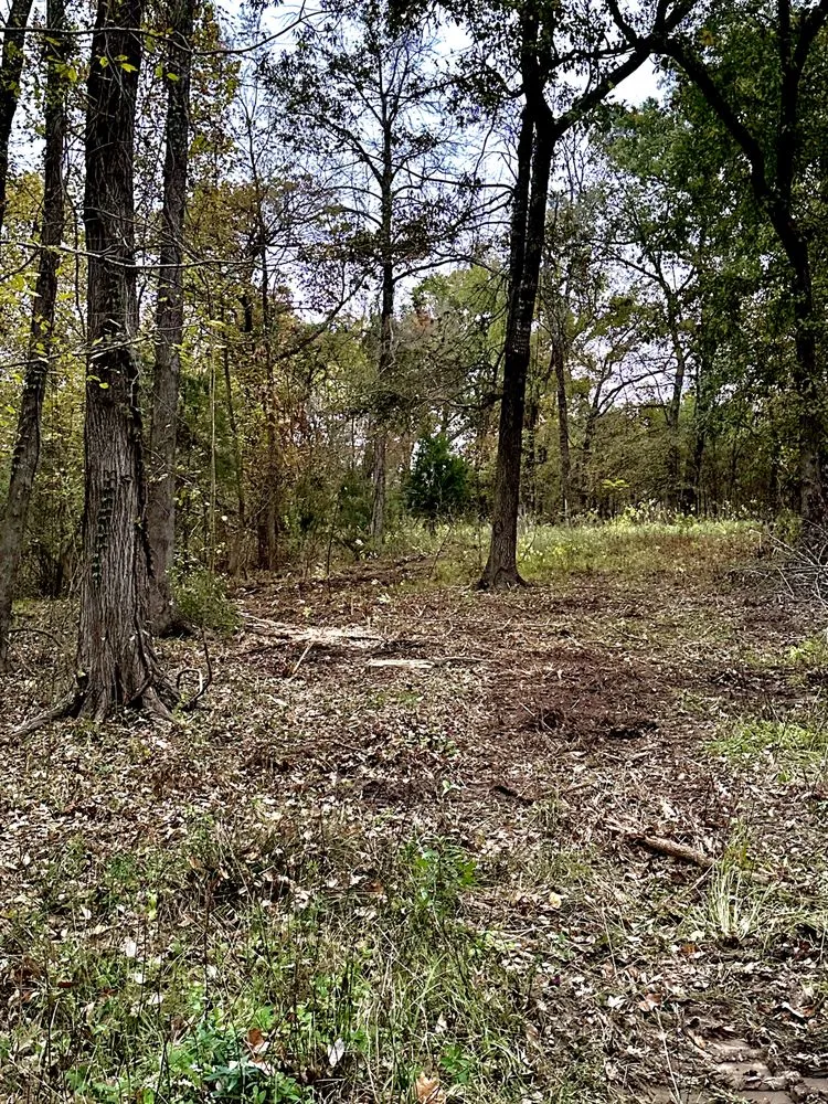 Top-rated landscaping services for residential properties across Plain Dealing, LA - Three Star Land Management