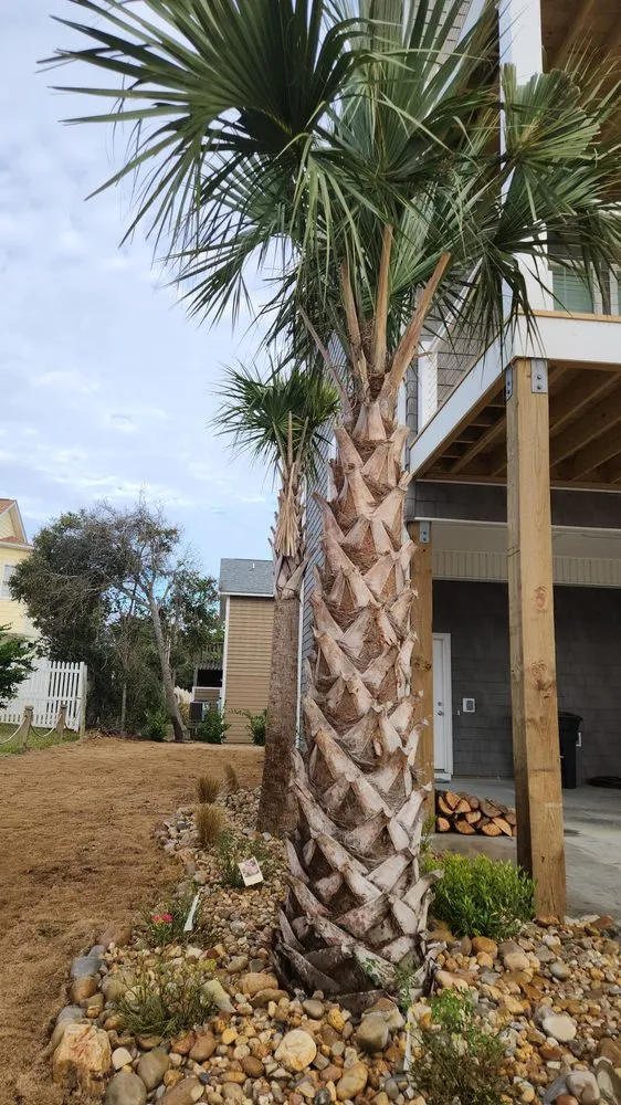 Top-rated yard maintenance in Newport, NC by Three Stars Landscaping