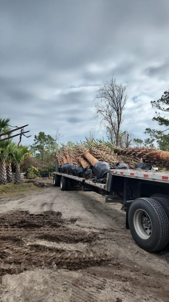 Reliable landscape design in Newport, NC - Three Stars Landscaping