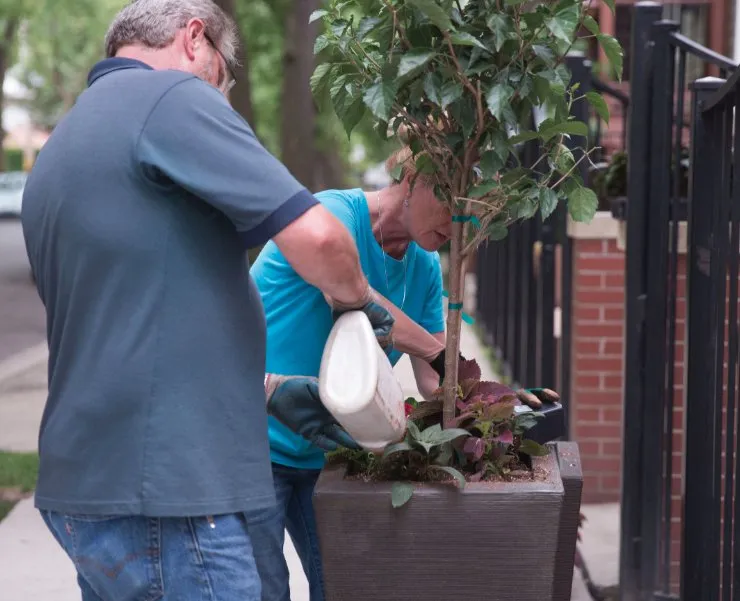 Local outdoor landscaping experts serving Midlothian, IL - Three Tree Landscapes