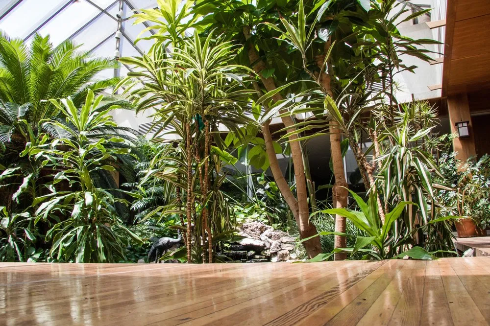 Reliable residential landscaping in Midlothian, IL - Three Tree Landscapes