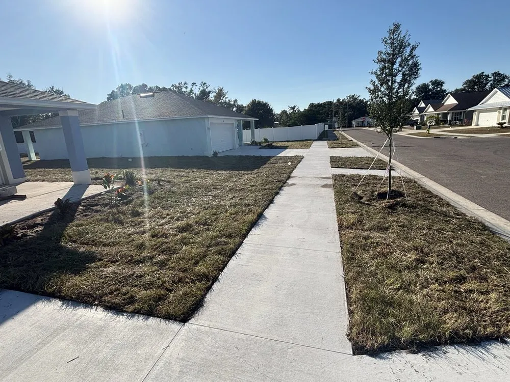 Top-rated outdoor landscaping with custom design across Greater Northdale, FL - Three Trees Landscape