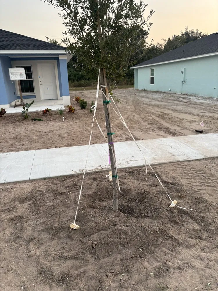 Custom garden landscaping in Greater Northdale, FL by Three Trees Landscape