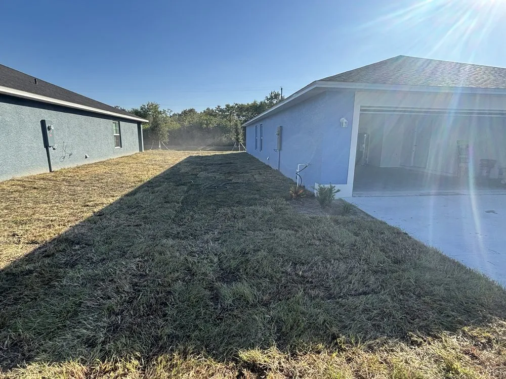 Affordable yard cleanup service for residential properties in Greater Northdale, FL by Three Trees Landscape