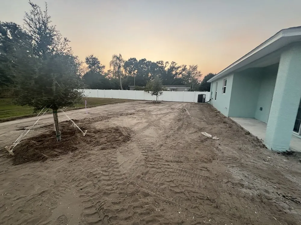 Professional lawn care service in Greater Northdale, FL - Three Trees Landscape
