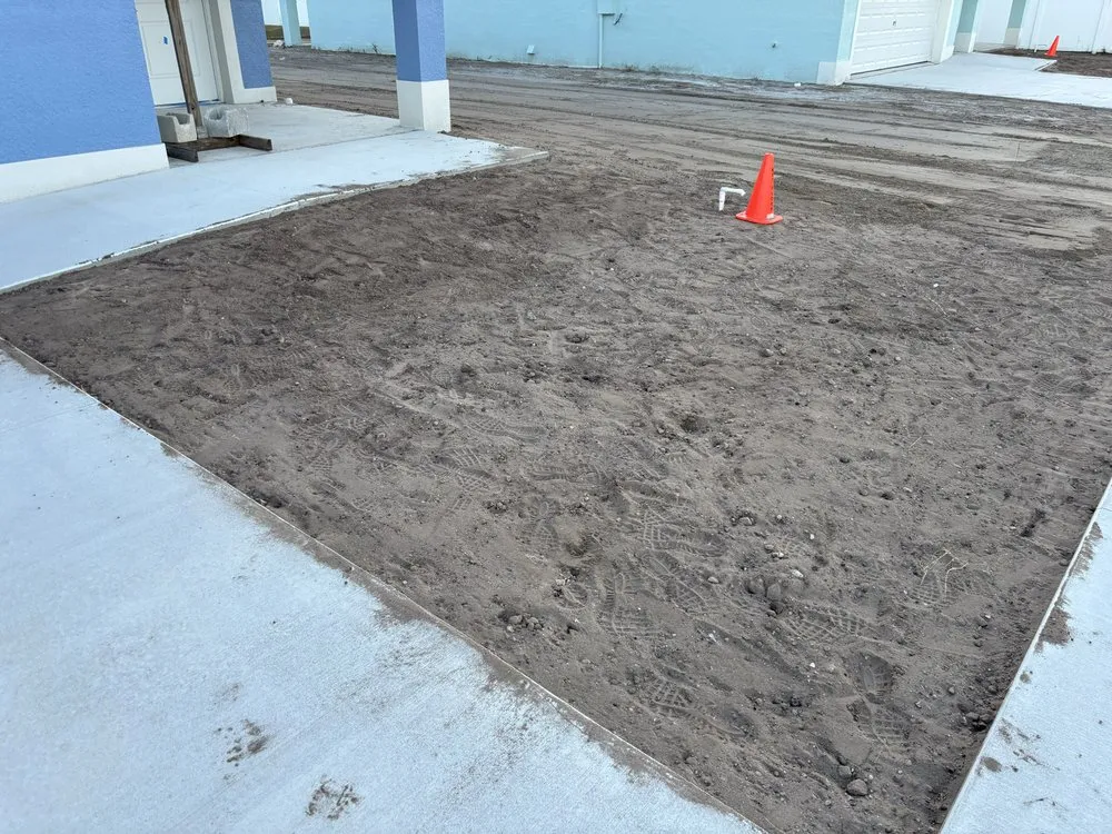 Top-rated landscape installation near you in Greater Northdale, FL by Three Trees Landscape