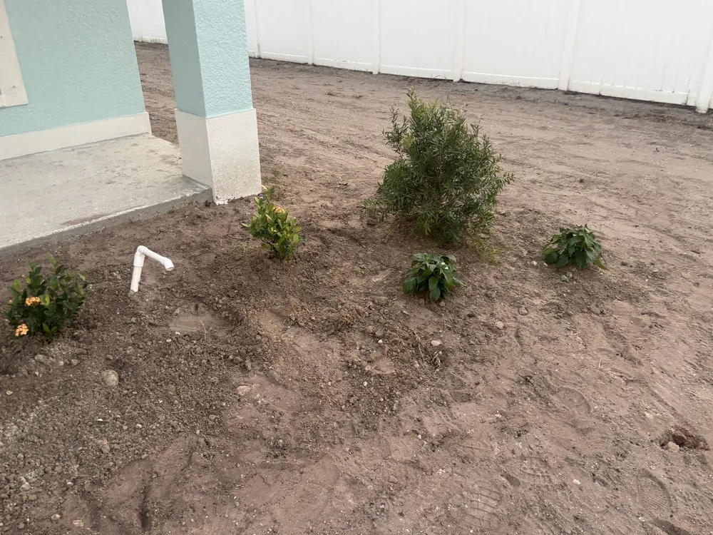 Custom residential landscaping for beautiful yards in Greater Northdale, FL by Three Trees Landscape