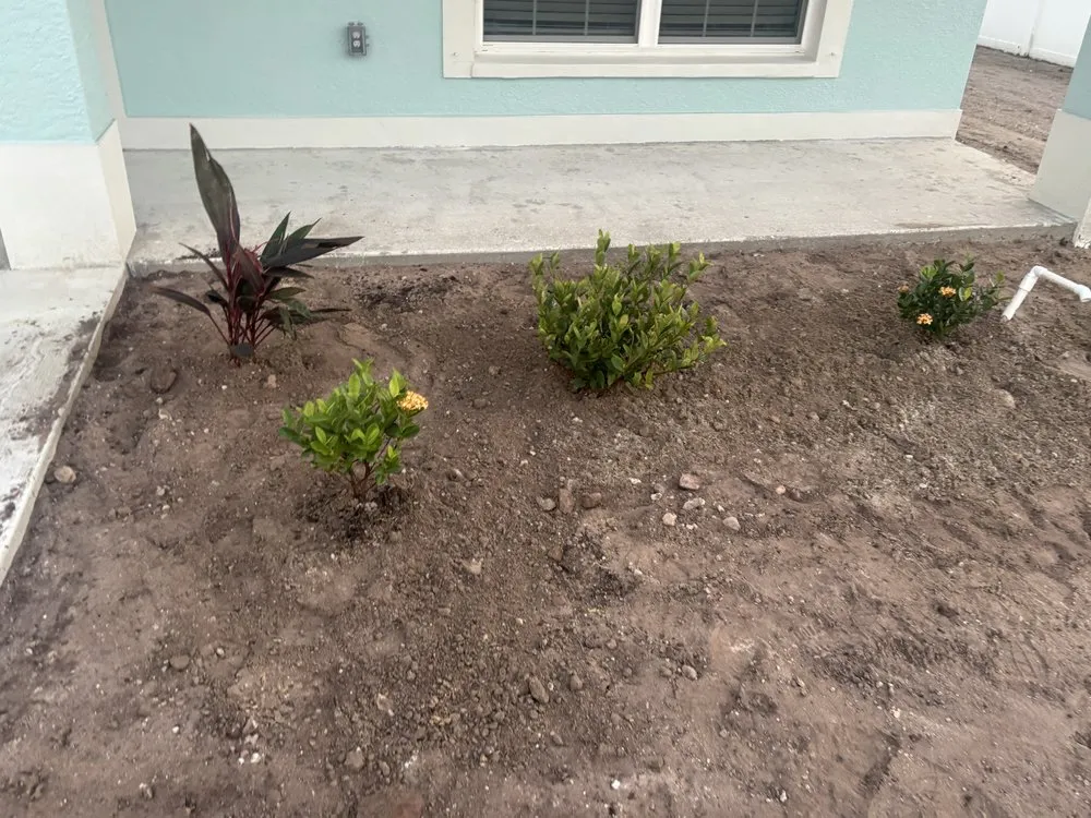 Expert yard cleanup service near you in Greater Northdale, FL by Three Trees Landscape