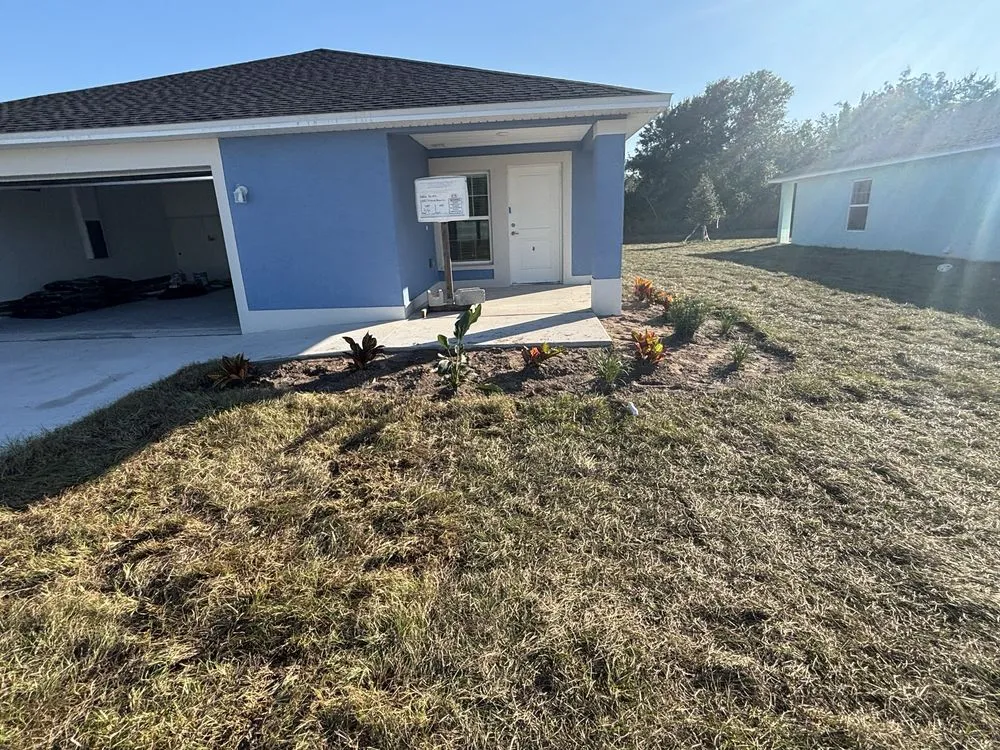 Top-rated outdoor landscaping experts serving Greater Northdale, FL - Three Trees Landscape