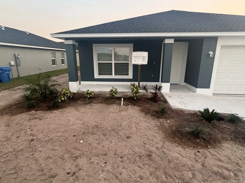 Professional residential landscaping in Greater Northdale, FL by Three Trees Landscape