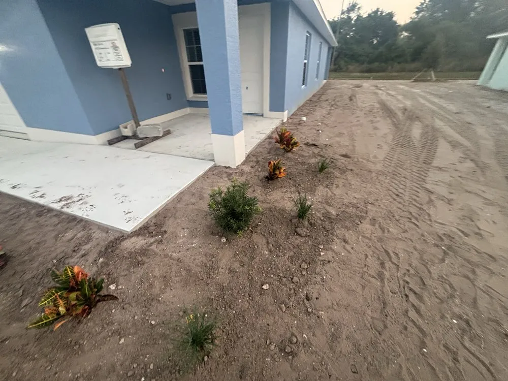 Professional garden landscaping experts serving Greater Northdale, FL - Three Trees Landscape