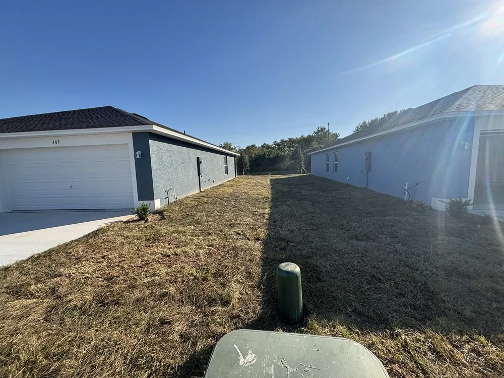 Local landscaping services experts serving Greater Northdale, FL - Three Trees Landscape