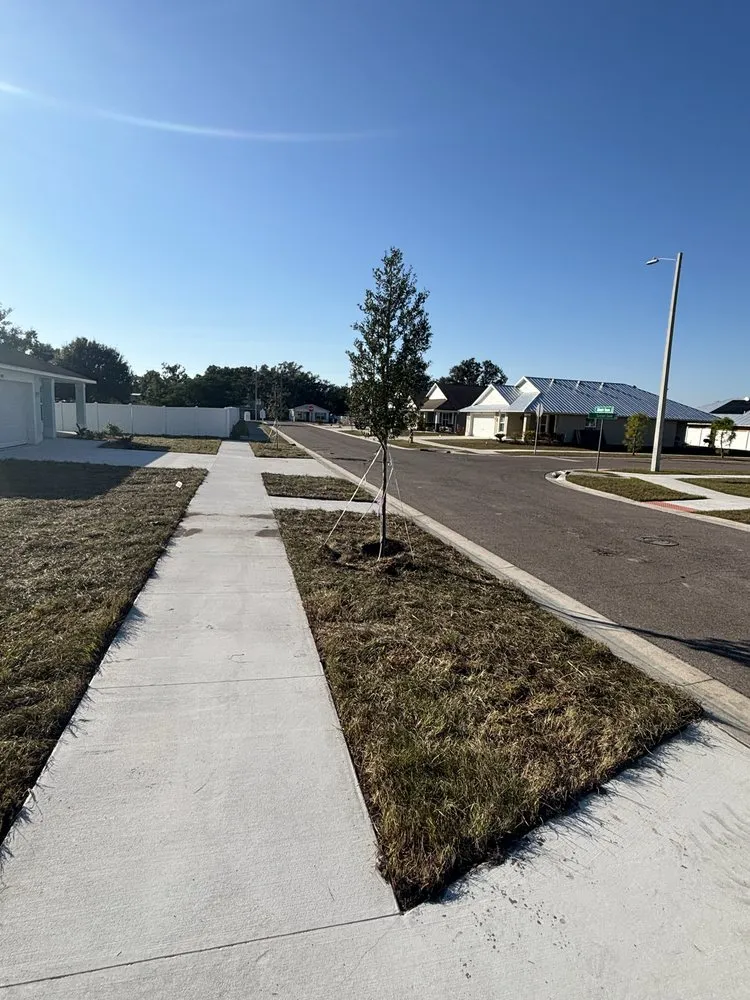 Affordable lawn mowing service for year-round maintenance in Greater Northdale, FL by Three Trees Landscape
