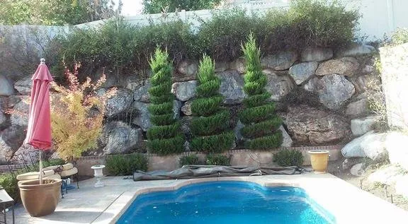 Trusted landscaping services experts serving Ogden, UT - Three Trees Landscaping