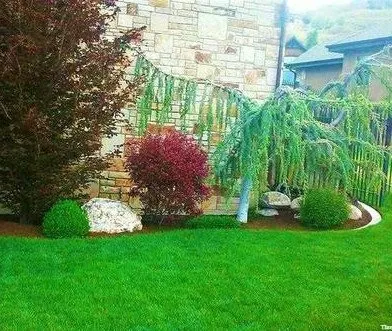 Trusted landscape installation experts serving Ogden, UT - Three Trees Landscaping