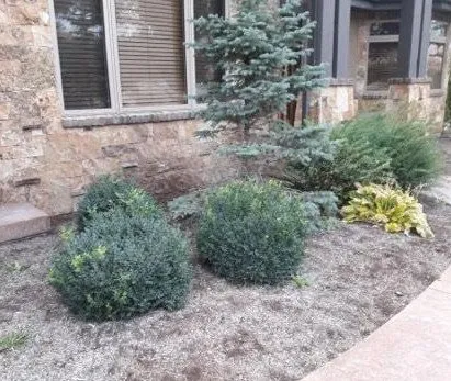 Affordable lawn mowing service experts serving Ogden, UT - Three Trees Landscaping