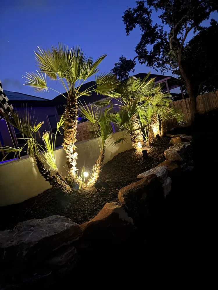 Expert lawn care service experts serving San Antonio, TX - Three Vines Landscaping