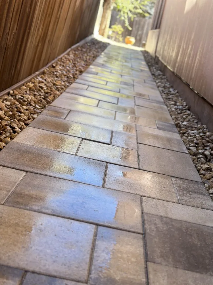 Local landscaping services for beautiful yards in San Antonio, TX by Three Vines Landscaping