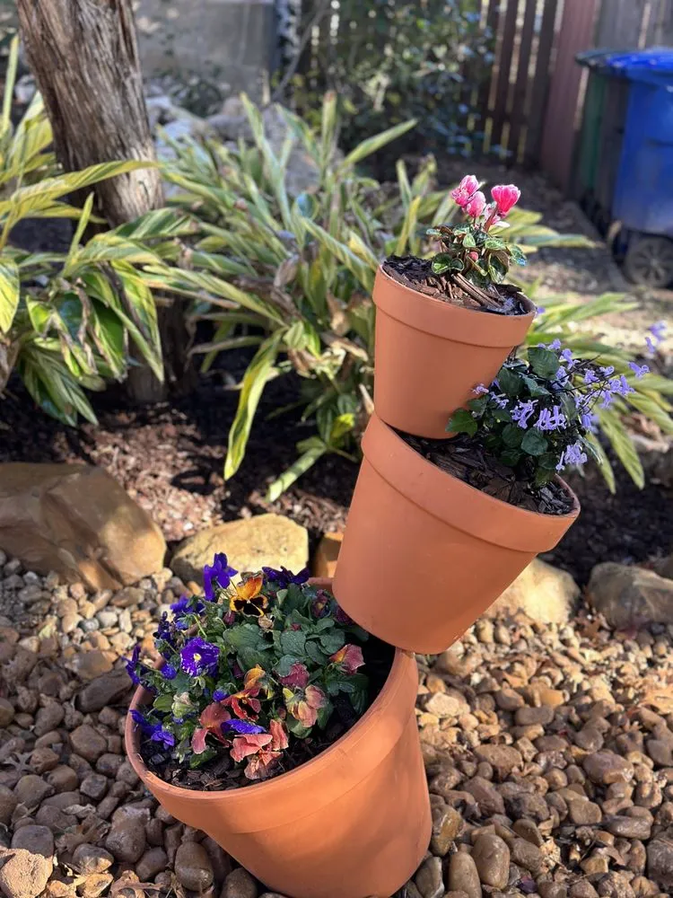 Top-rated landscaping services in San Antonio, TX - Three Vines Landscaping