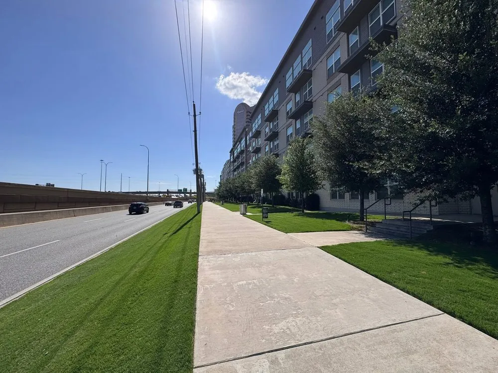 Affordable yard cleanup service in McKinney, TX - Three Vines