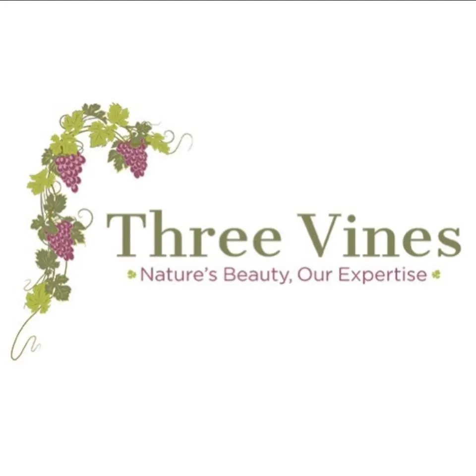 Local residential landscaping in McKinney, TX by Three Vines