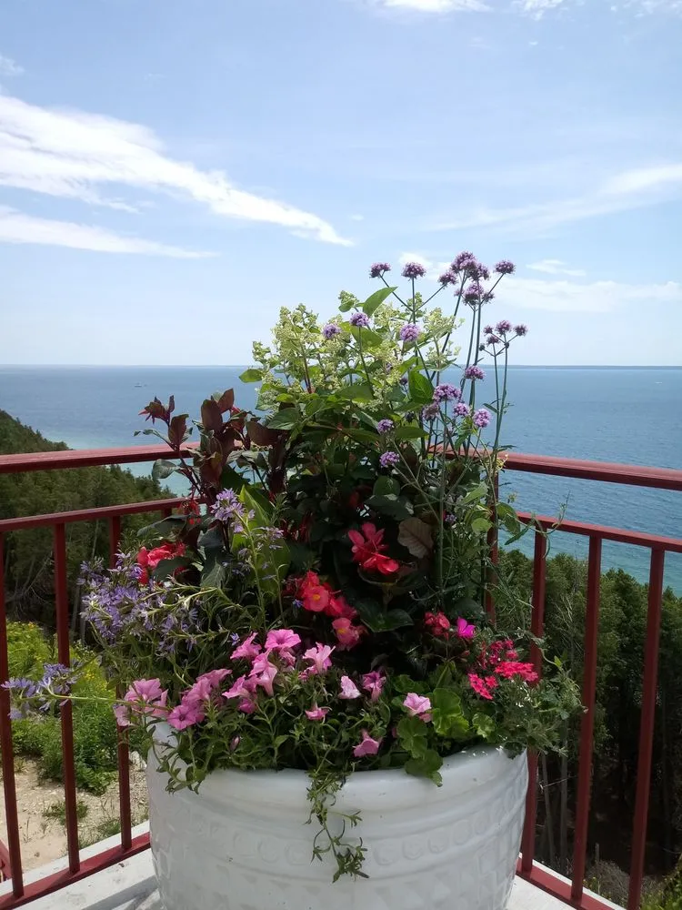 Affordable lawn care service for year-round maintenance in Webberville, MI by Three Wooden Crosses Lawn Landscape Design