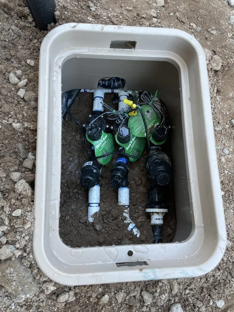 Affordable garden landscaping for year-round maintenance across Tucson, AZ - Three65 Earthscapes