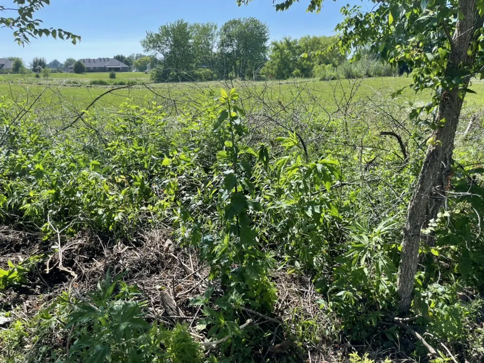 Expert outdoor landscaping in Prairie Grove, AR - Threet’s Lawn And Transport