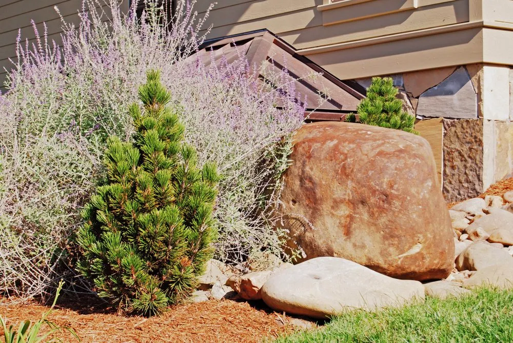 Professional landscaping services in Knoxville, TN - Thress Nursery Gardens