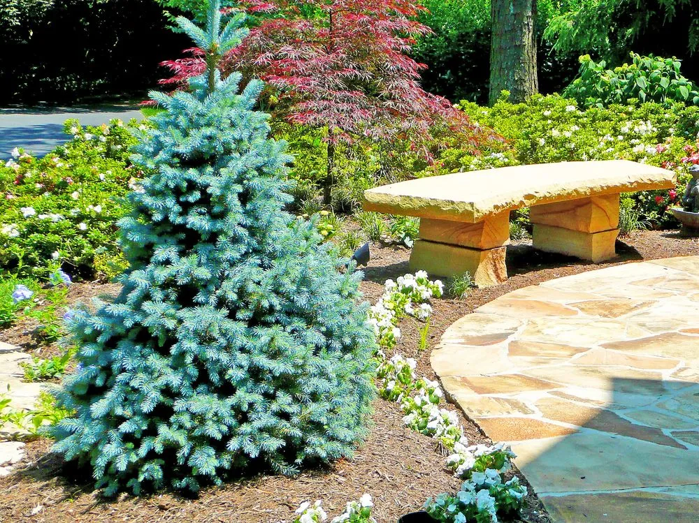 Reliable lawn care service experts serving Knoxville, TN - Thress Nursery Gardens