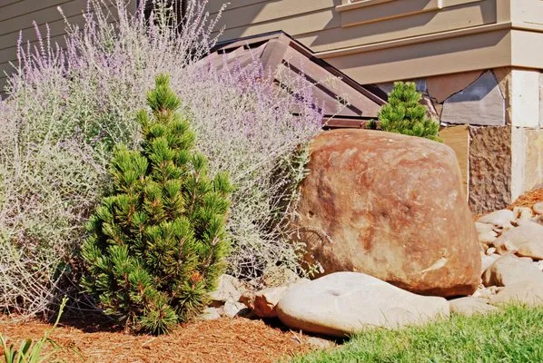 Thress Nursery Gardens Logo